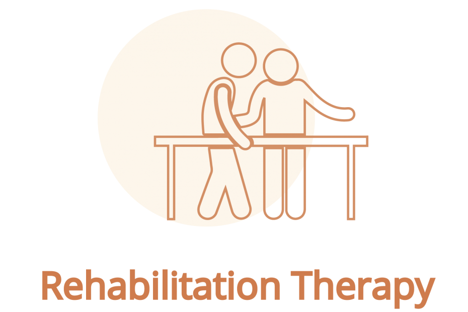 Rehabilitation therapy session